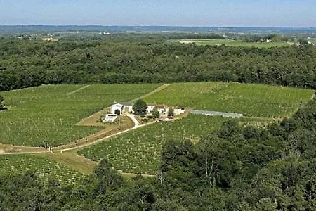 Domaine De Grand Homme Maison d'hôtes Blasimon